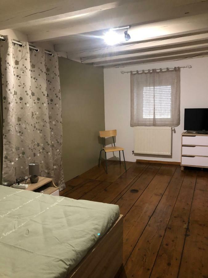 Spacieux Appartement 2/6 Pers 110M² Proche Cnpe Lagnieu Εξωτερικό φωτογραφία